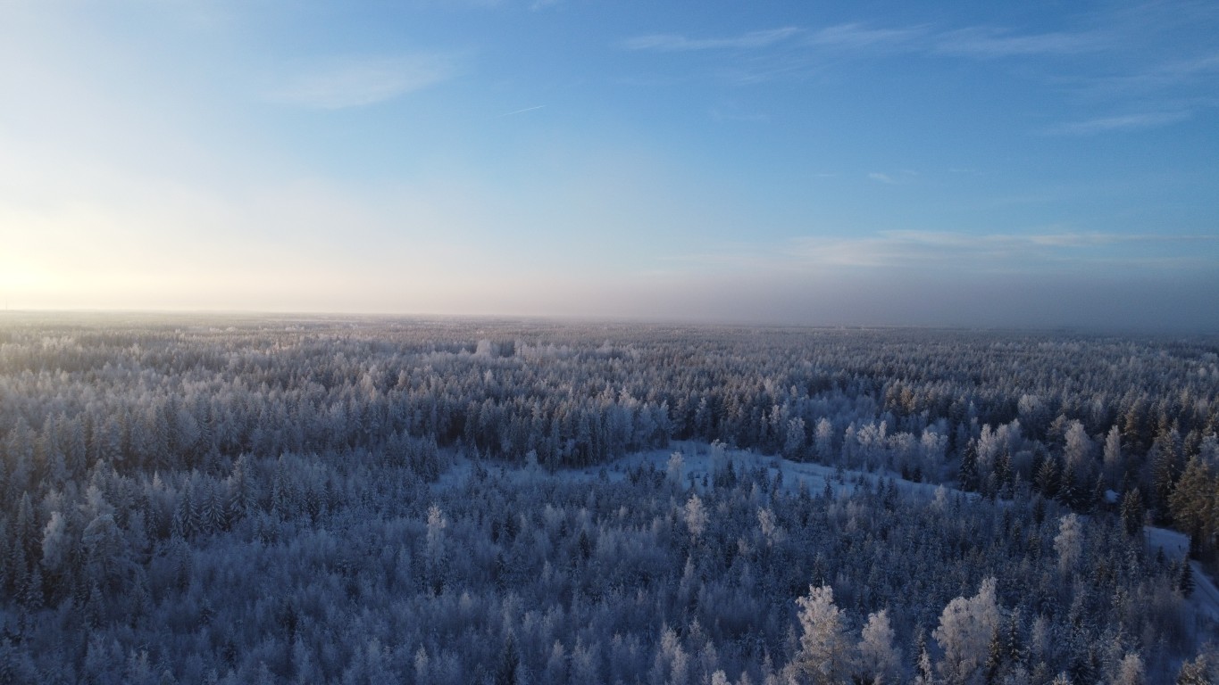 Drone View